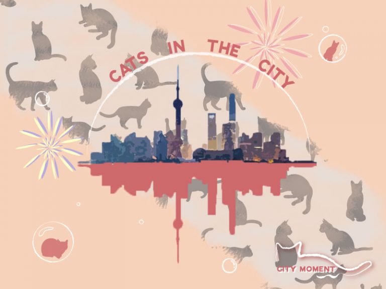 Illustrator遠距教學成果心得