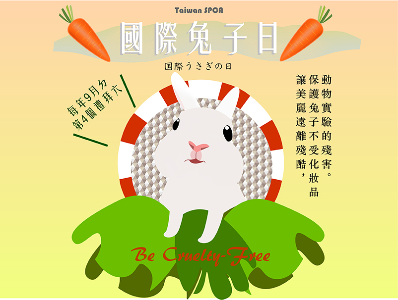 Illustrator遠距學習歷程