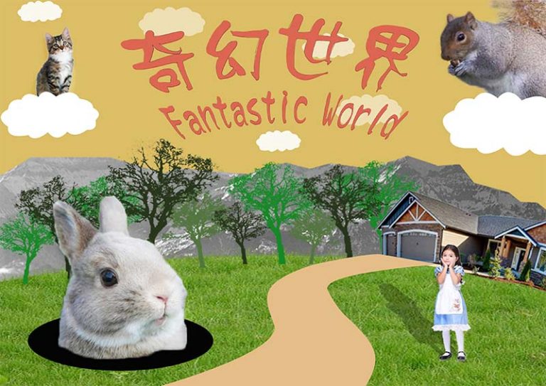 Illustrator初體驗遠距教學心得