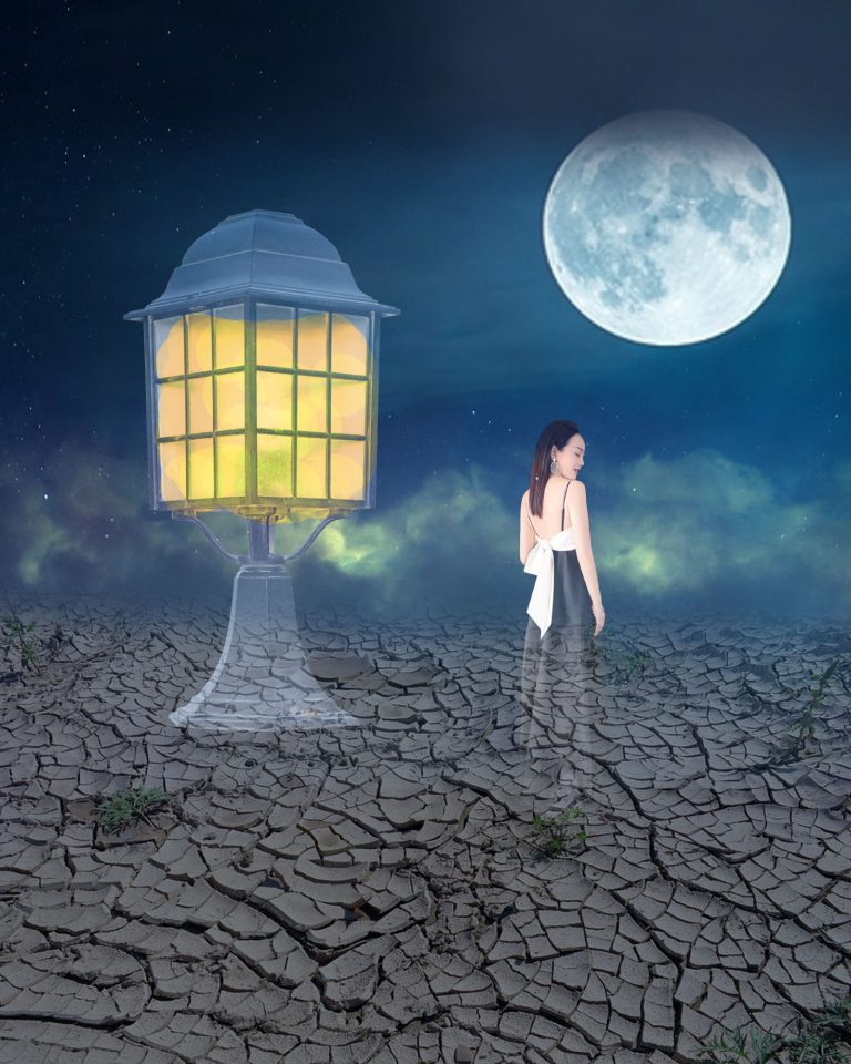 Illustrator遠距教學心得