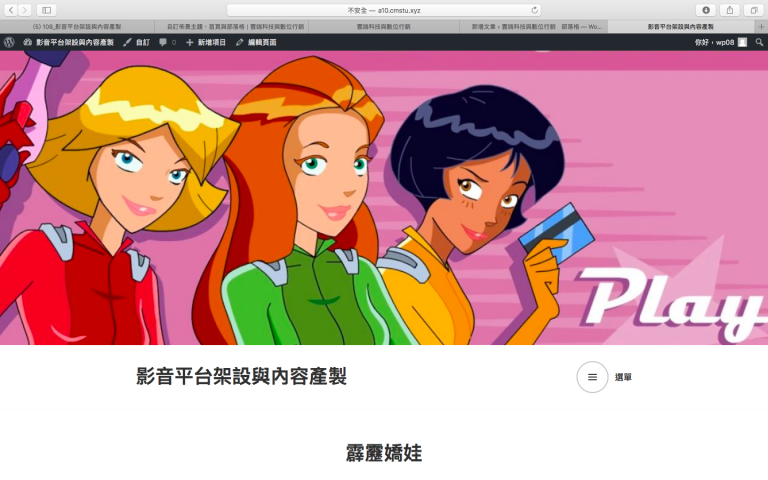 傳管二甲組別霹靂嬌娃心得