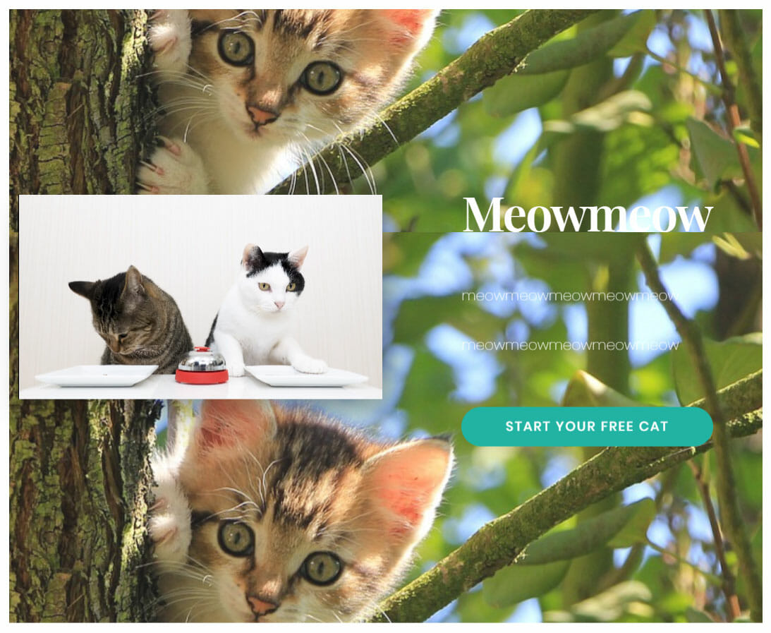 電子商務//老貓兩甜點