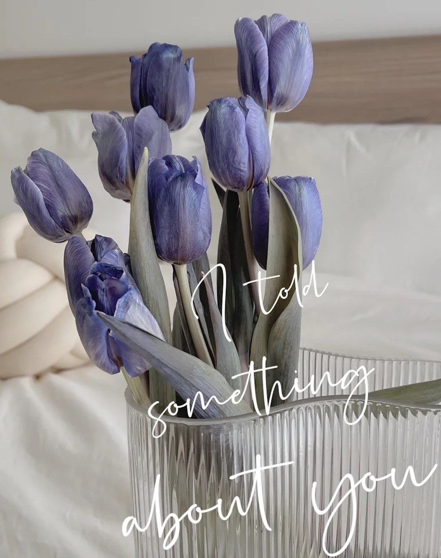 開創電商，步入全球