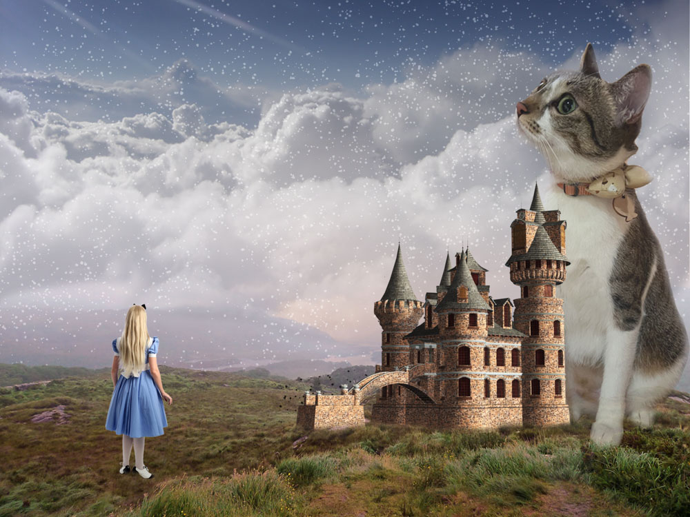 成為Photoshop大師！不因遠距而失的教學品質！