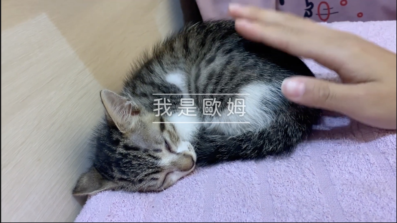 Premiere剪片 輕鬆上手