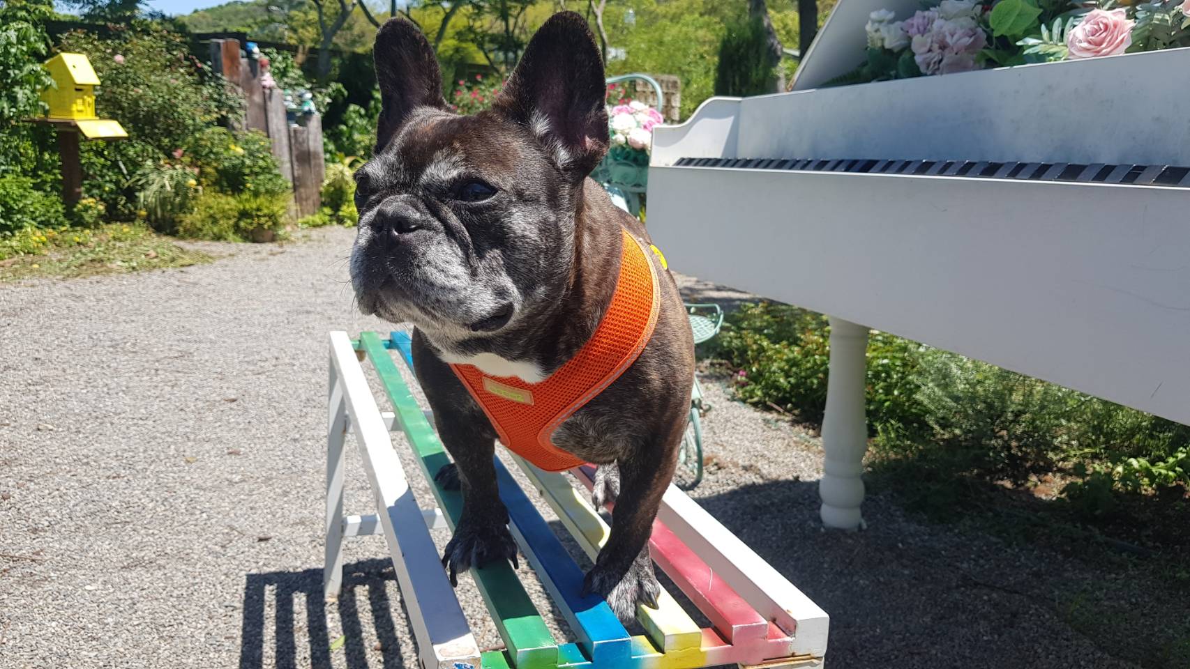 影片剪輯也能簡易上手