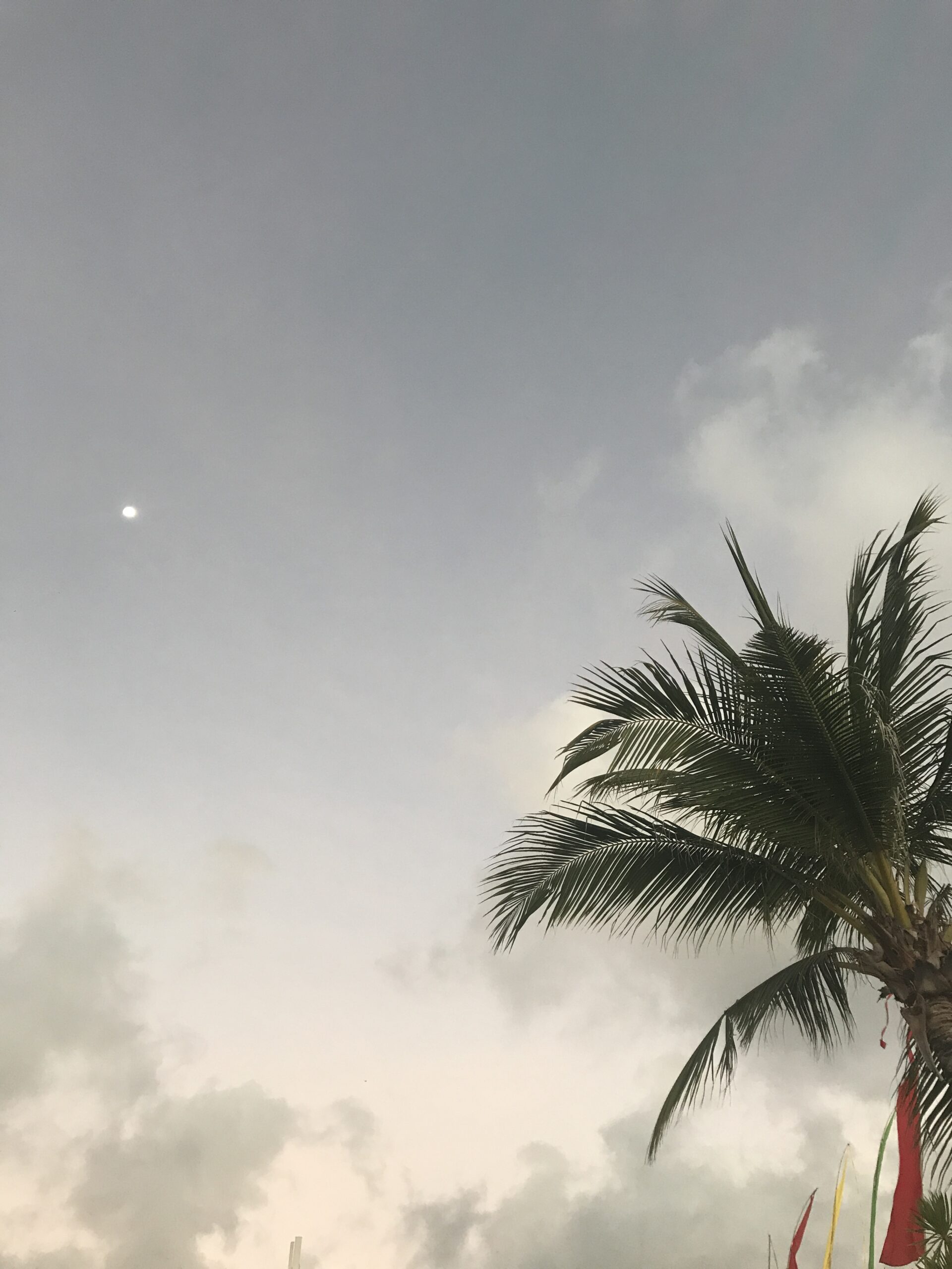 遠端教學輕鬆學習Premiere