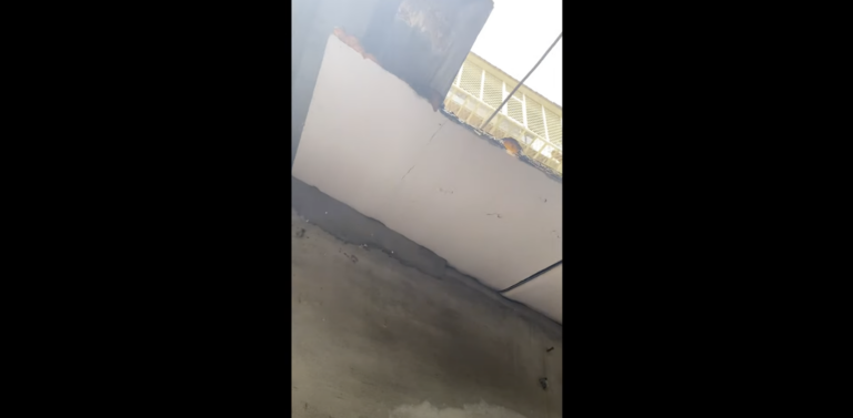 遠端教學也能輕鬆學習影片剪輯