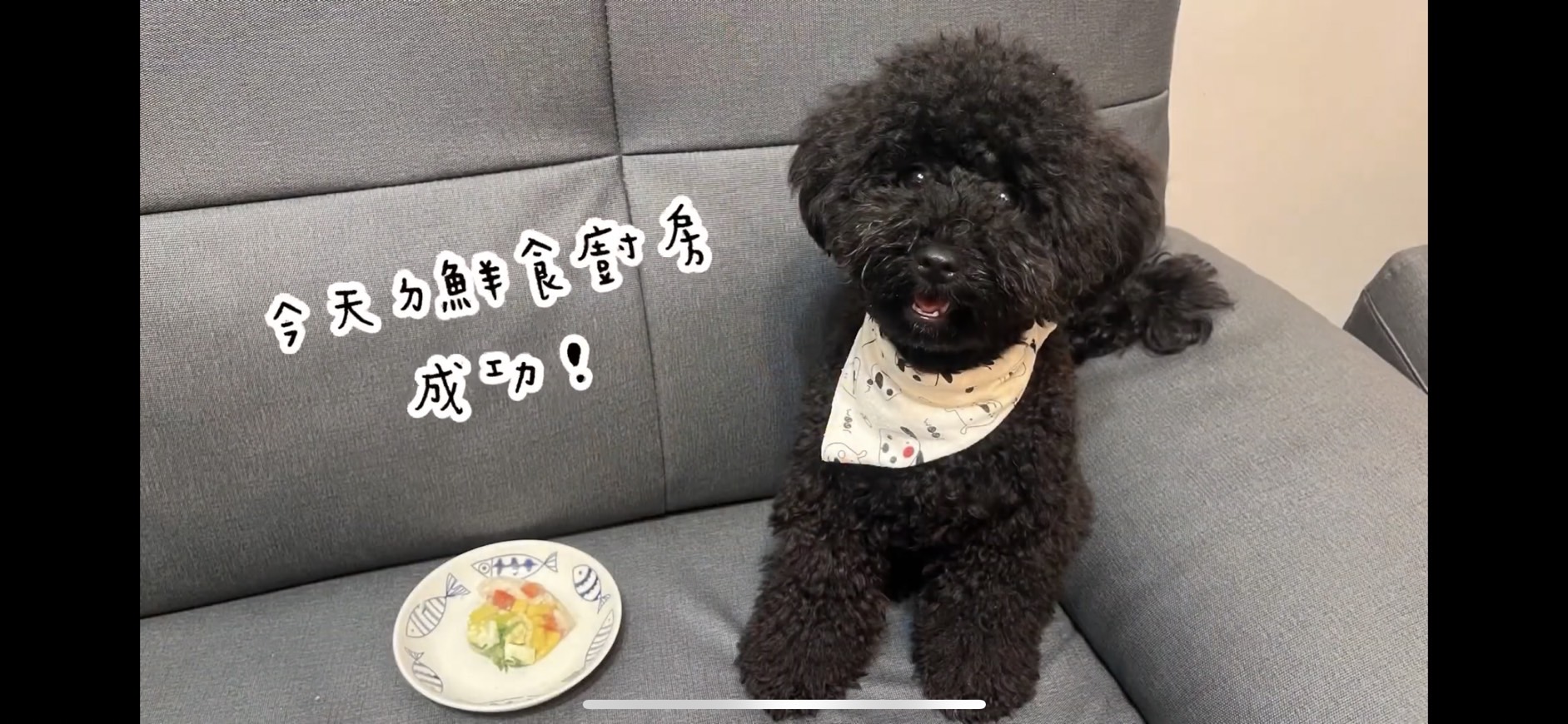 跟著影片 輕鬆學習Premiere