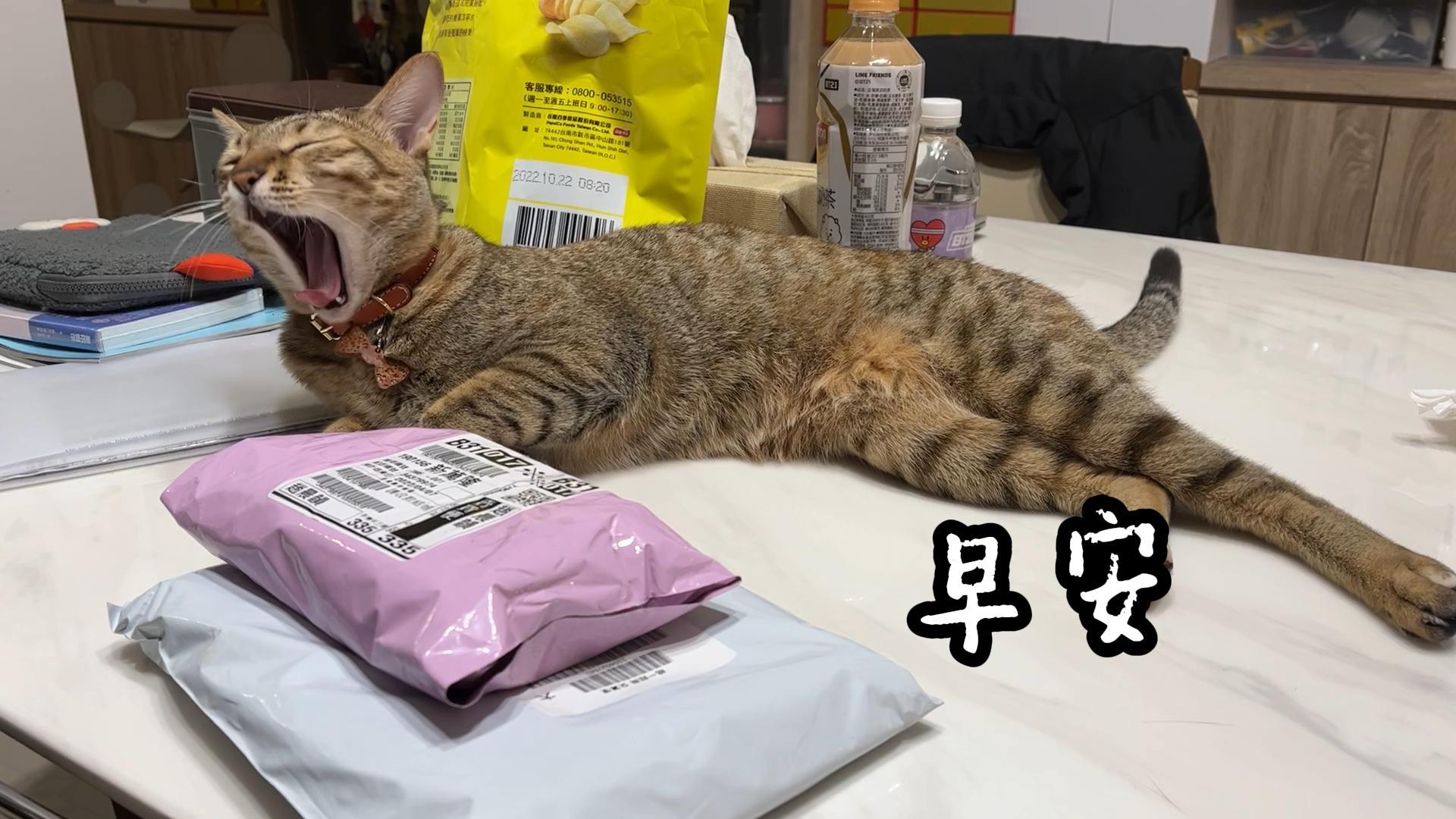 遠距教學影片剪輯成果