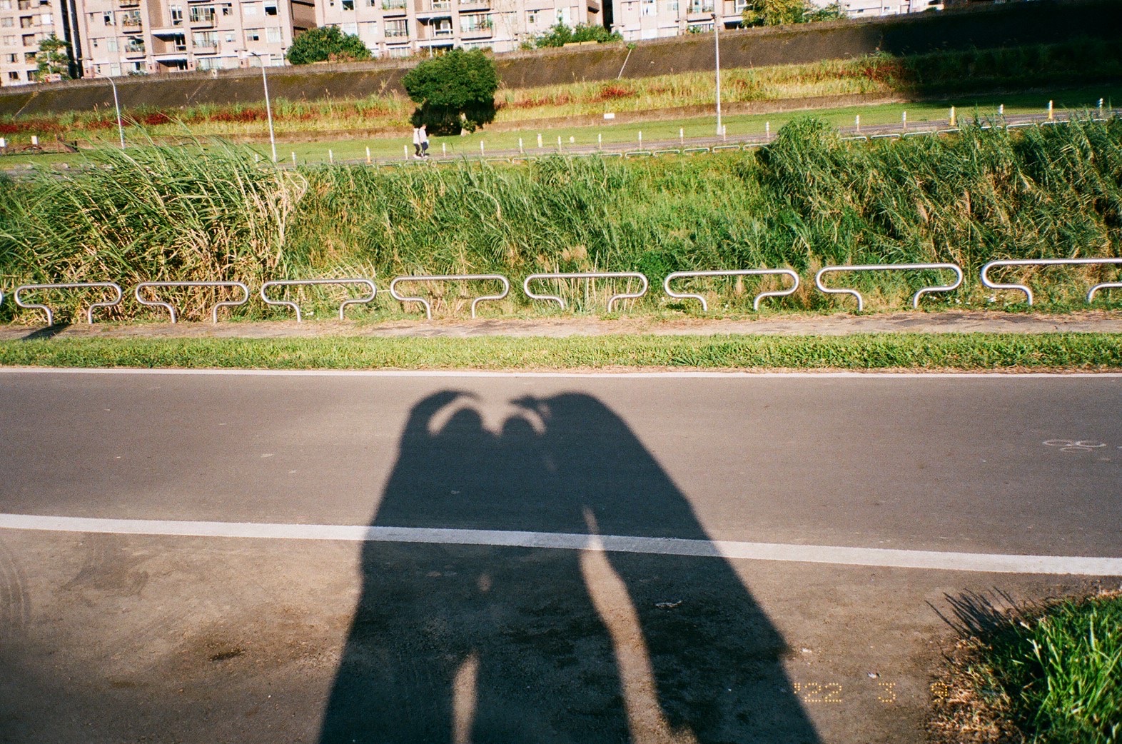 學習簡單的架設網站，我們做到了！