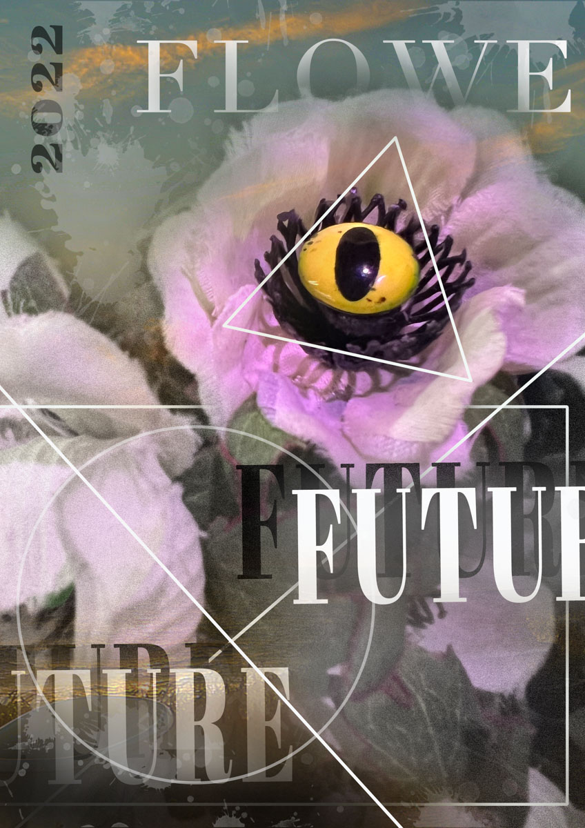 111(1)大三Illustrator作業七