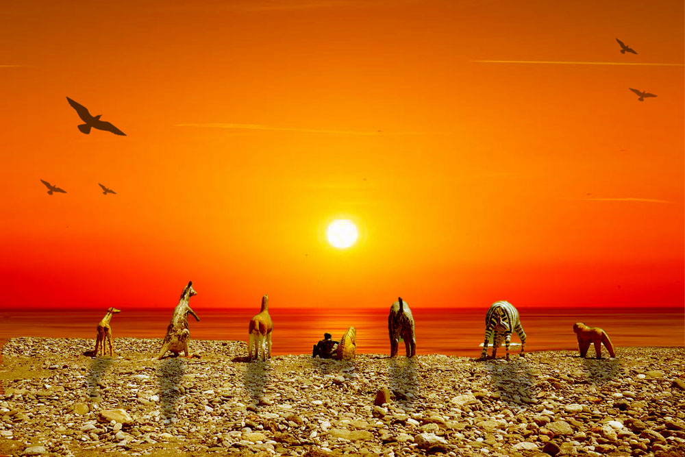 Photoshop技能從無到有，只要一門課!!