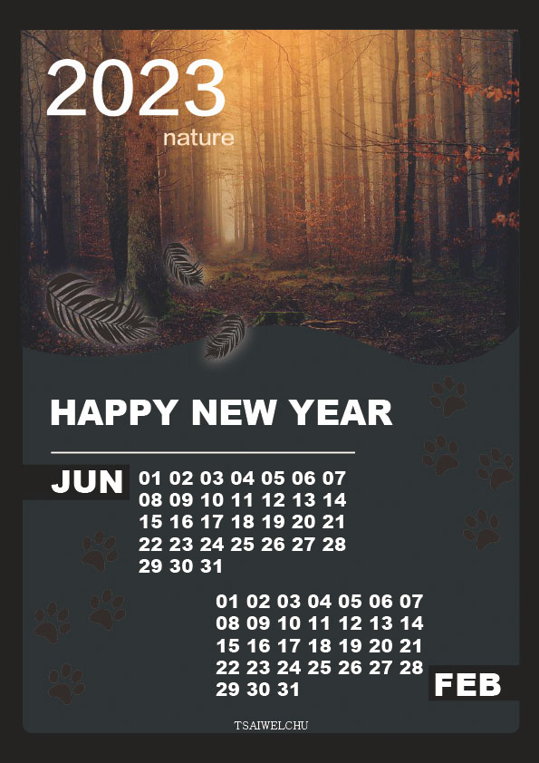 111(1)大三Illustrator作業八