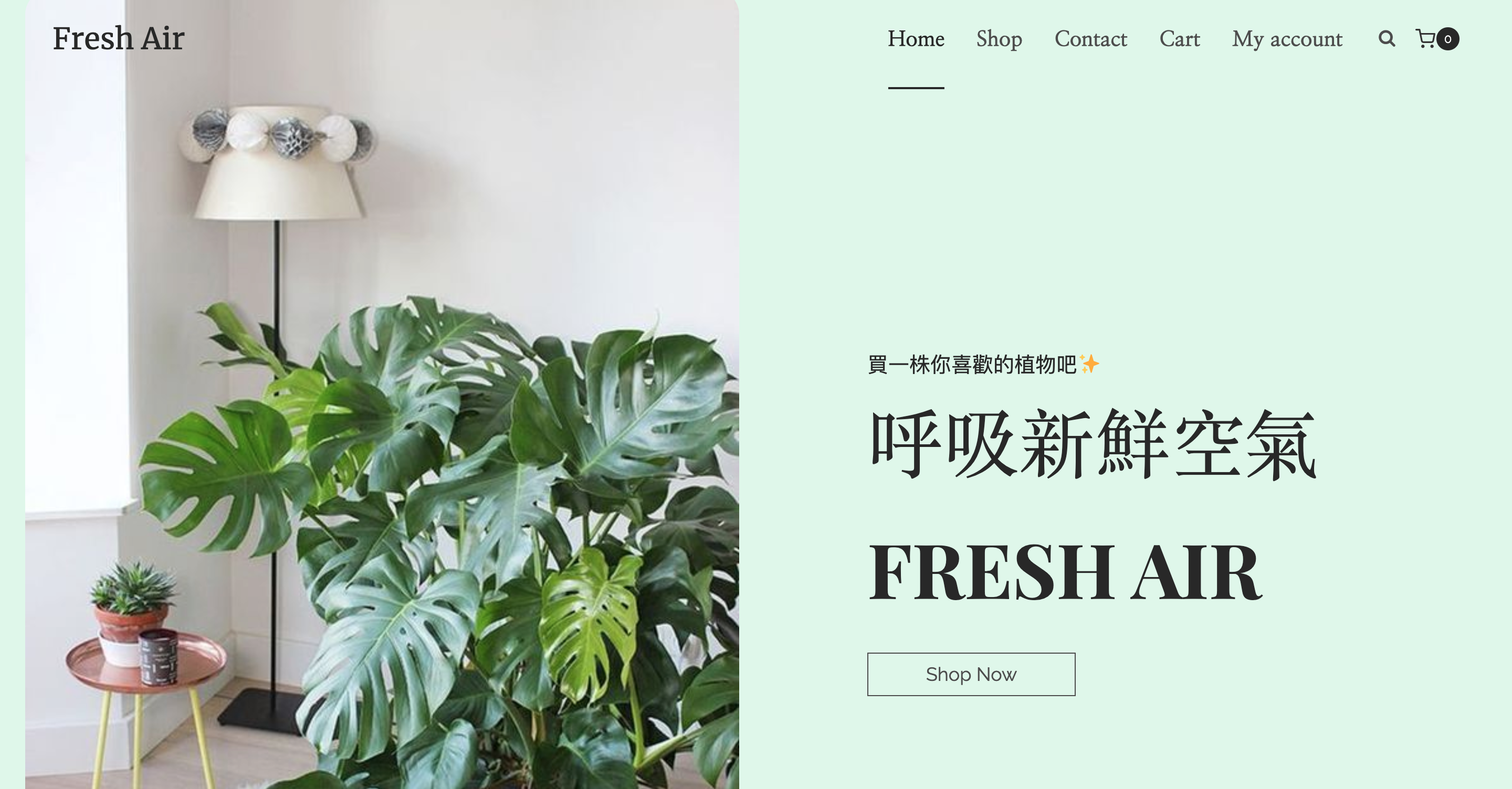 第一次網站架設就上手